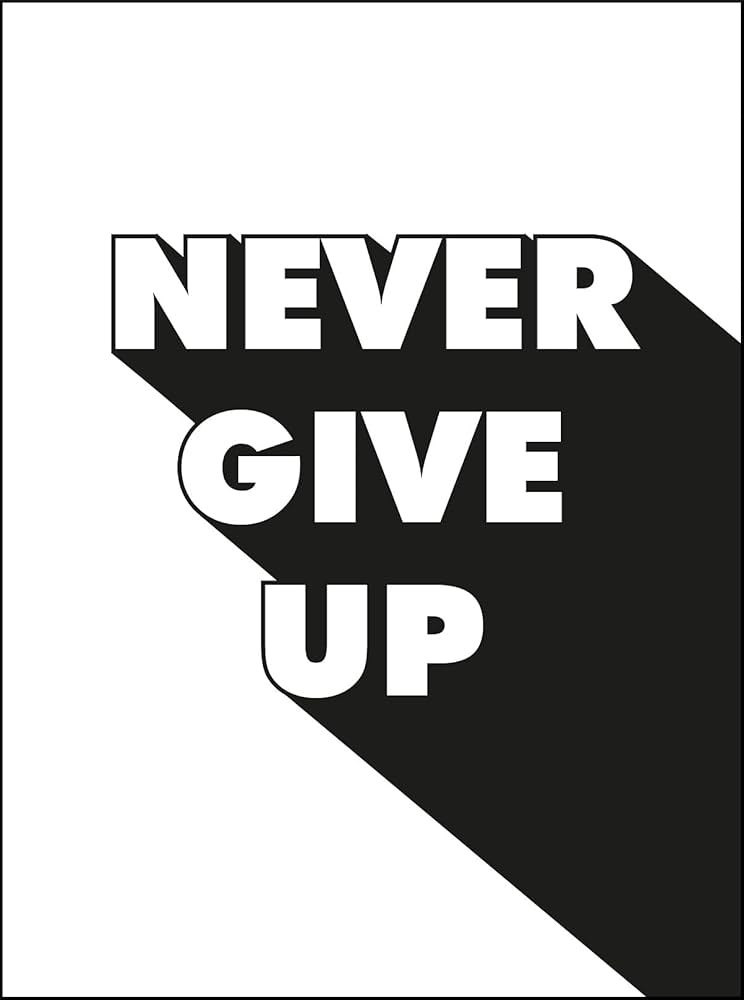 Never Give Up by Summersdale