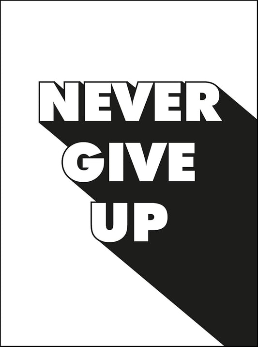 Never Give Up by Summersdale