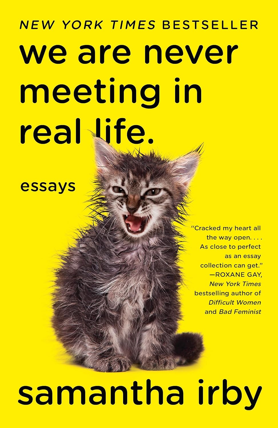 We Are Never Meeting in Real Life.: Essays by Irby Samantha