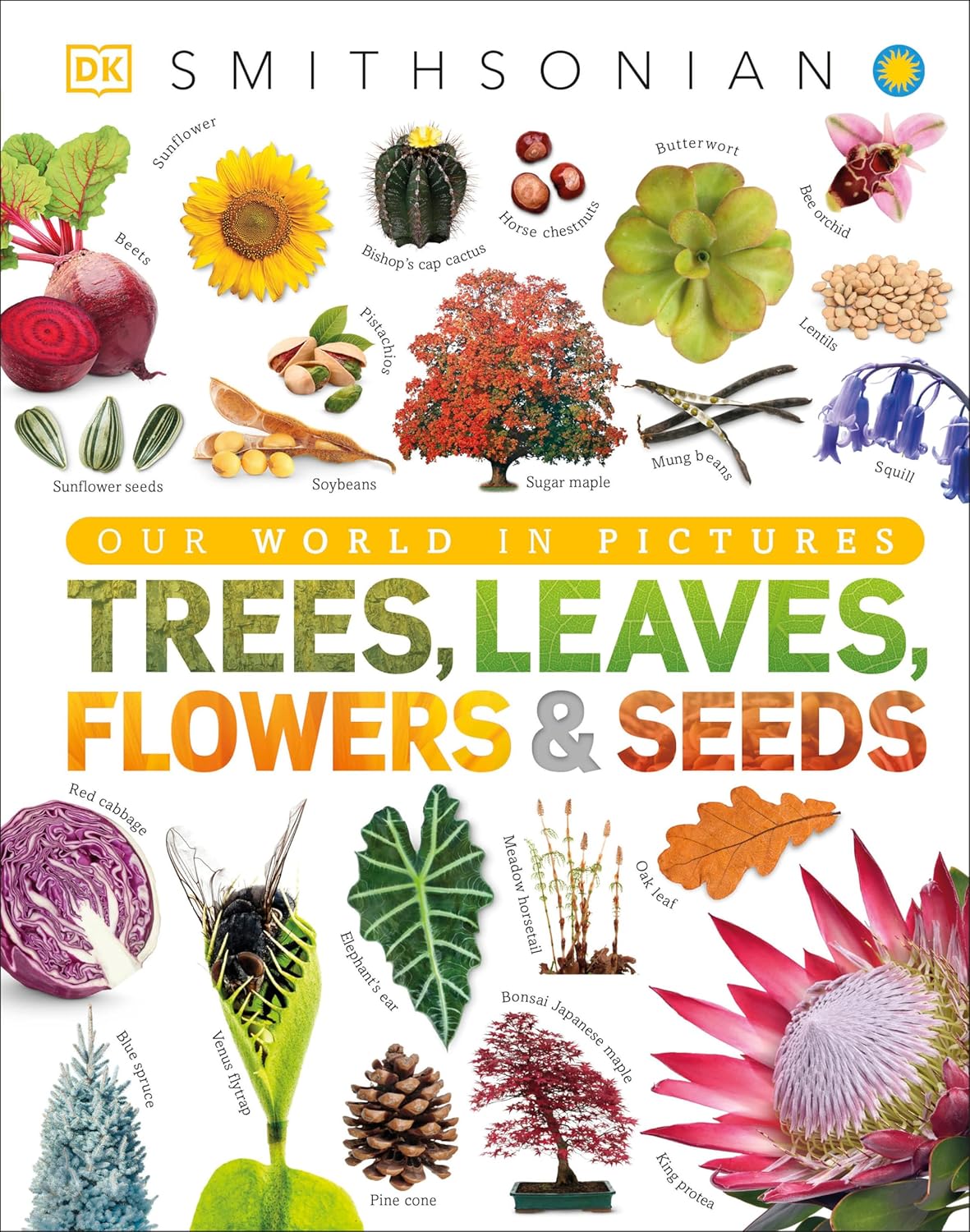 Trees, Leaves, Flowers and Seeds: A Visual Encyclopedia of the Plant Kingdom (DK Our World in Pictures) by Jose Sarah