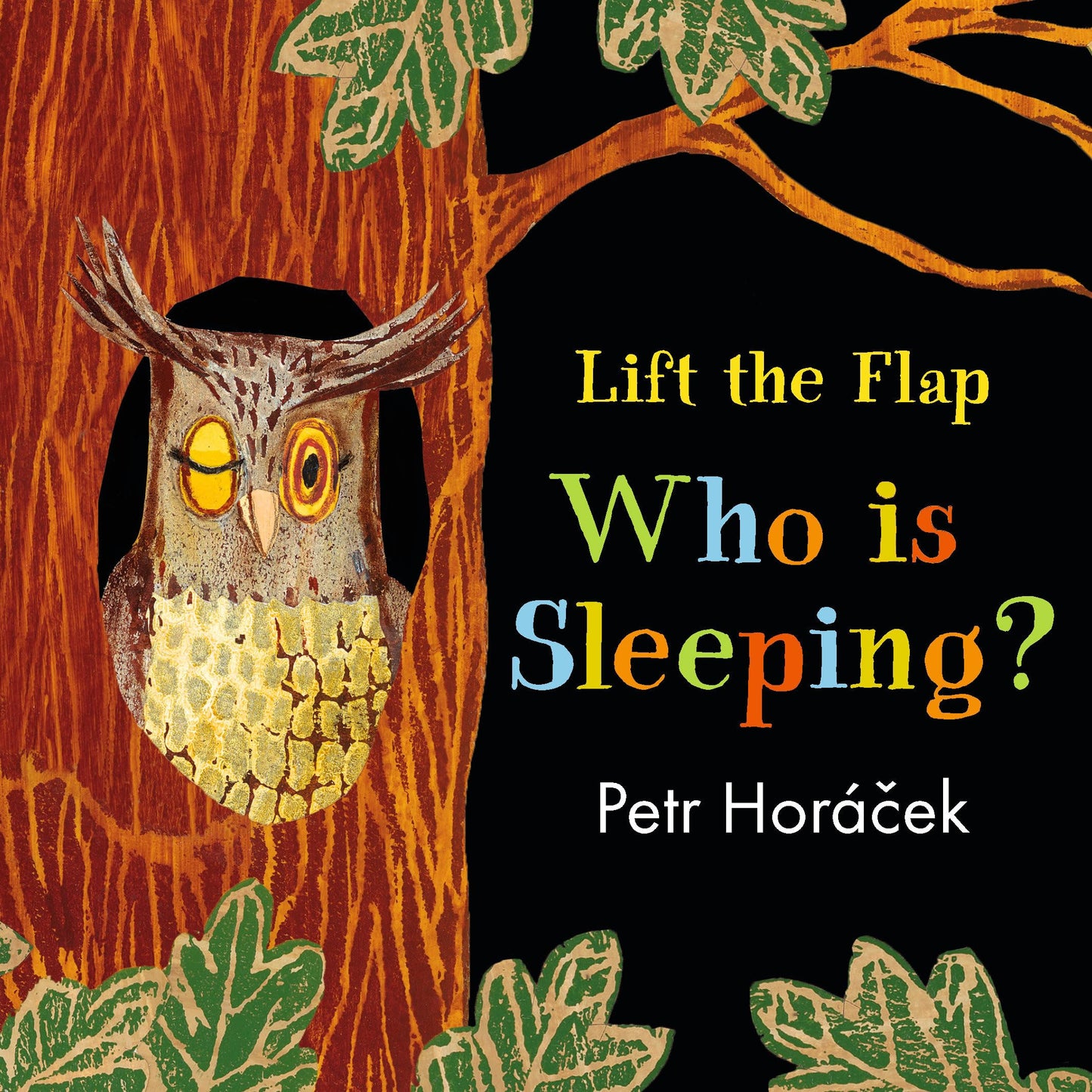 Who Is Sleeping? (A Lift the Flap Book) by HoraÌcÌek, Petr,